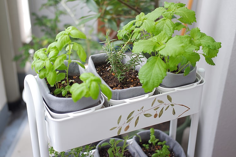 キッチンワゴンのアレンジDIYで「移動式家庭菜園」を作ってみた