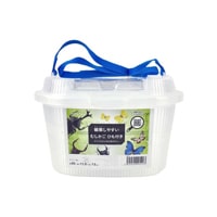 子供と楽しめるテントウムシの飼い方 飼育箱や餌の用意はこれで解決 となりのカインズさん