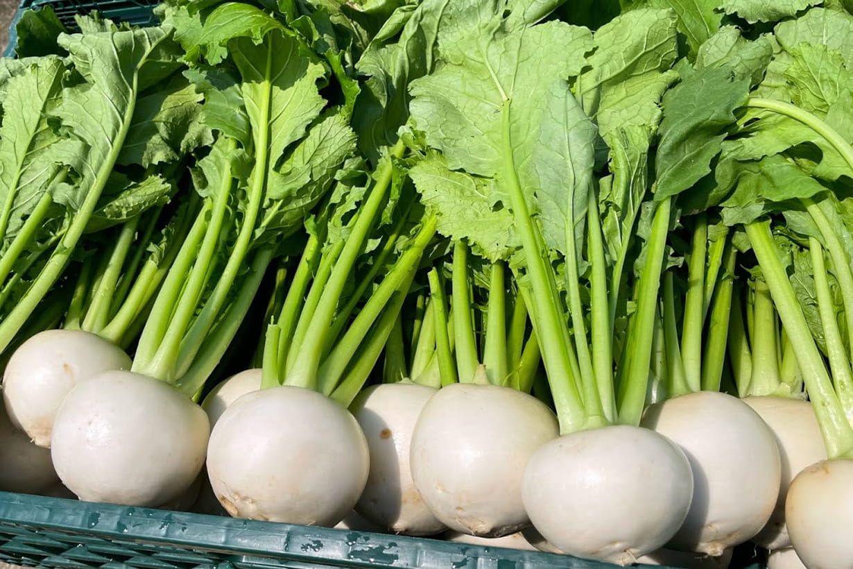 3 月 植える 野菜