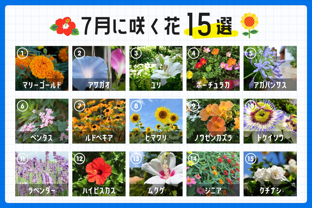 花 フラワーマップA7 | 静岡県営吉田公園 NPO法人しずかちゃん事務局