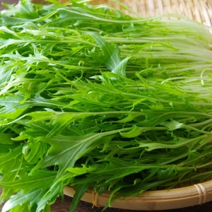 7月からの家庭菜園は簡単 プランターでもできるおすすめの野菜7選 となりのカインズさん