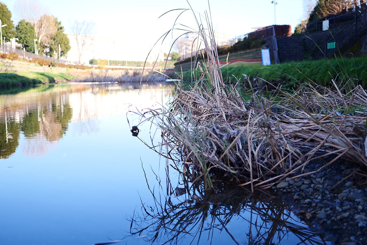 冬の川で魚を捕まえたい 進化生物学研究所研究員に聞いてみた となりのカインズさん 冬の川で魚を捕まえたい 進化生物学研究所研究員に聞いてみた となりのカインズさん