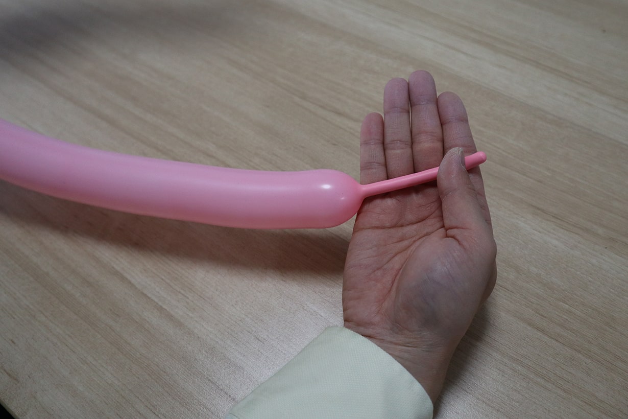 犬 花 ハート 剣 バルーンアートの作り方 初心者でも簡単 となりのカインズさん 犬 花 ハート 剣 バルーンアートの作り方 初心者でも簡単 となりのカインズさん