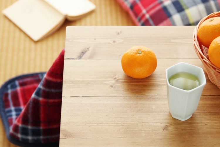 カインズのバイヤーが選ぶ、コスパ抜群な防寒グッズ「家電・寝具・ラグ9選」