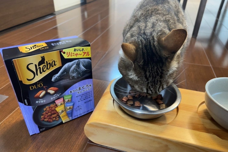 シーバは猫の体に悪いは本当？　口コミの真相をマース ジャパンに聞いてみた