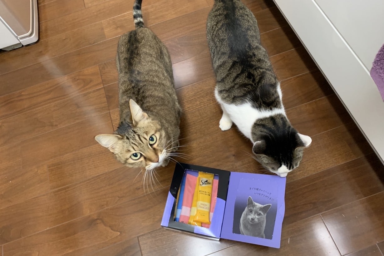 猫 シーバ 体 に 悪い