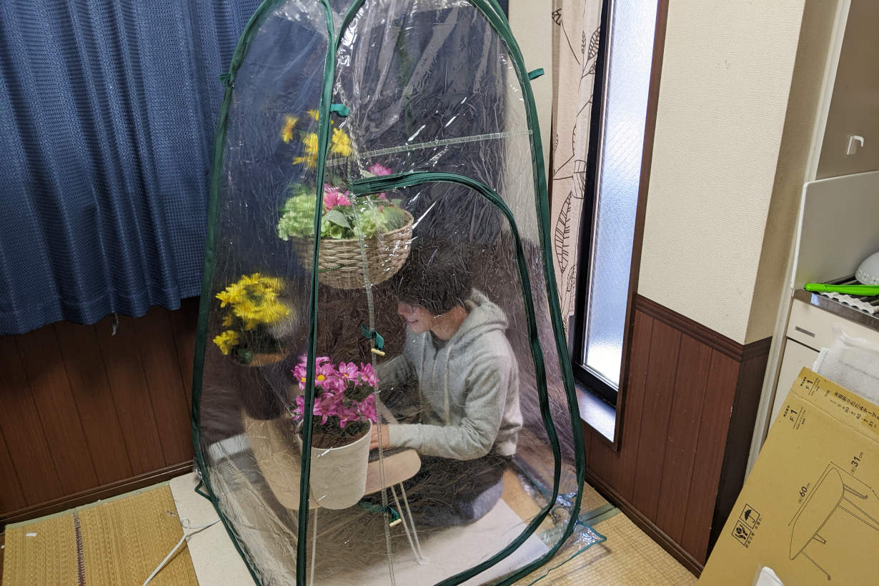 カインズのポップアップ温室で、冬の寒い部屋を快適なワークスペースに