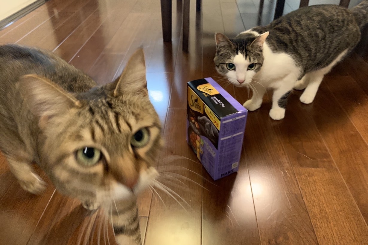 猫 シーバ 体 に 悪い