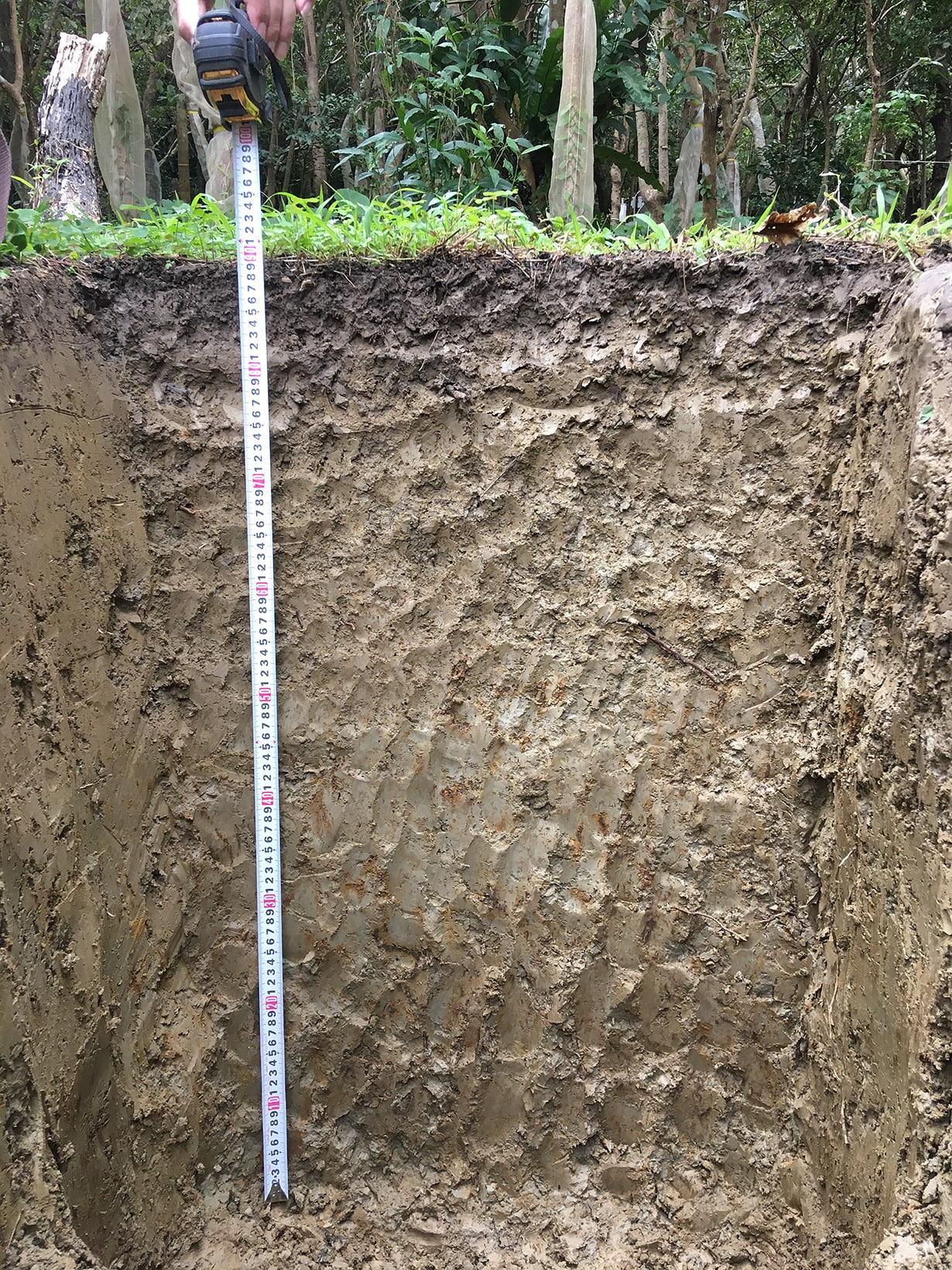 月に土はないって本当？ 砂との違いは？ 「土」について専門家に聞いてみた | となりのカインズさん