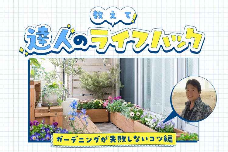 ガーデニング初心者必見！　適した時期や良い苗の見極め方は？