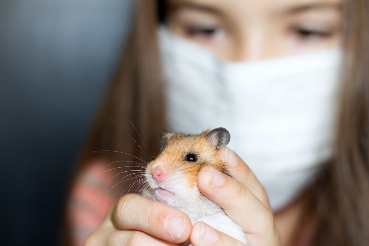 ハムスターがかかりやすい病気とは 予防策や治療費の目安も解説 となりのカインズさん