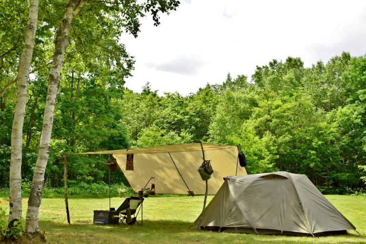 【初心者向け】ソロキャンプのレイアウト・スタイルを紹介します