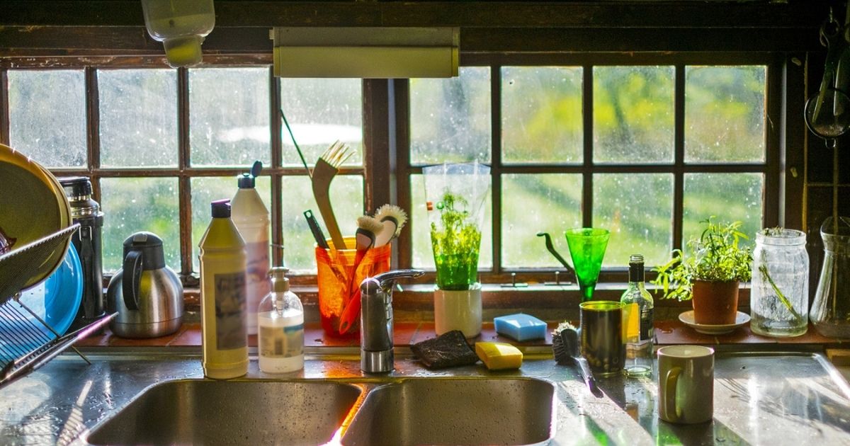 キッチンにおすすめの観葉植物 日陰でも育つ 風水観点からも解説 となりのカインズさん