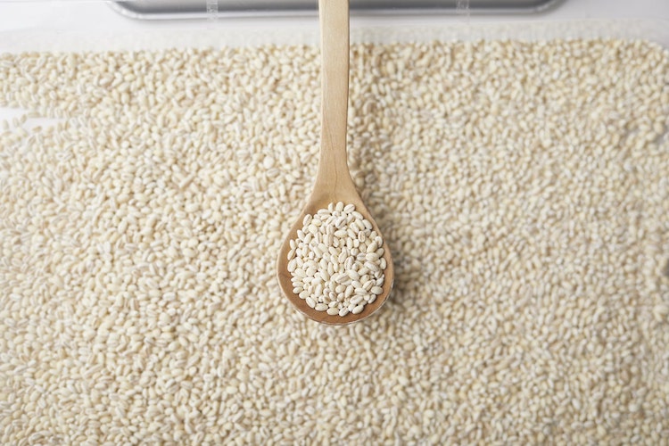 もち麦が危険って本当なの？ はくばくに聞いた正しい知識と健康的な食べ方