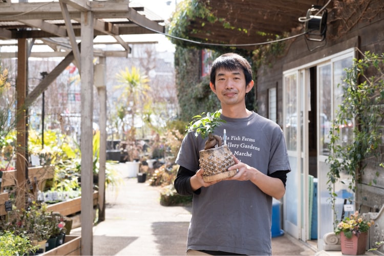 【初心者～マニアも必読】専門家だからこそわかるガジュマルの育て方と魅力