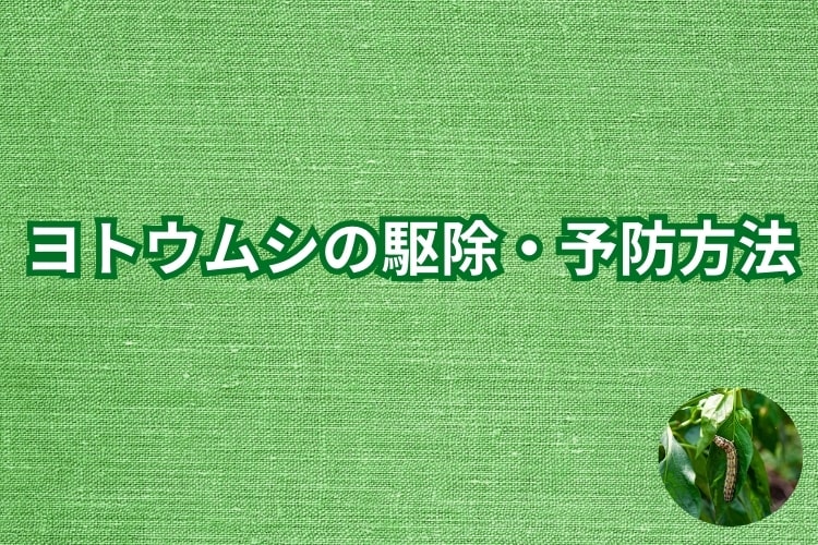 ヨトウムシの駆除・予防方法を家庭菜園の初心者向けに解説！