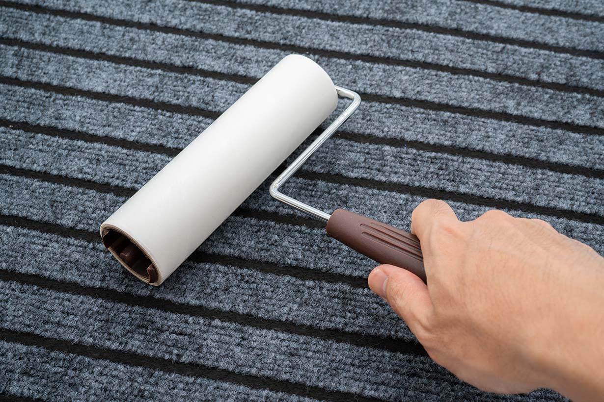 チャタテムシの駆除 予防方法を解説 ホコリやカビ 湿気のある場所に要注意 となりのカインズさん