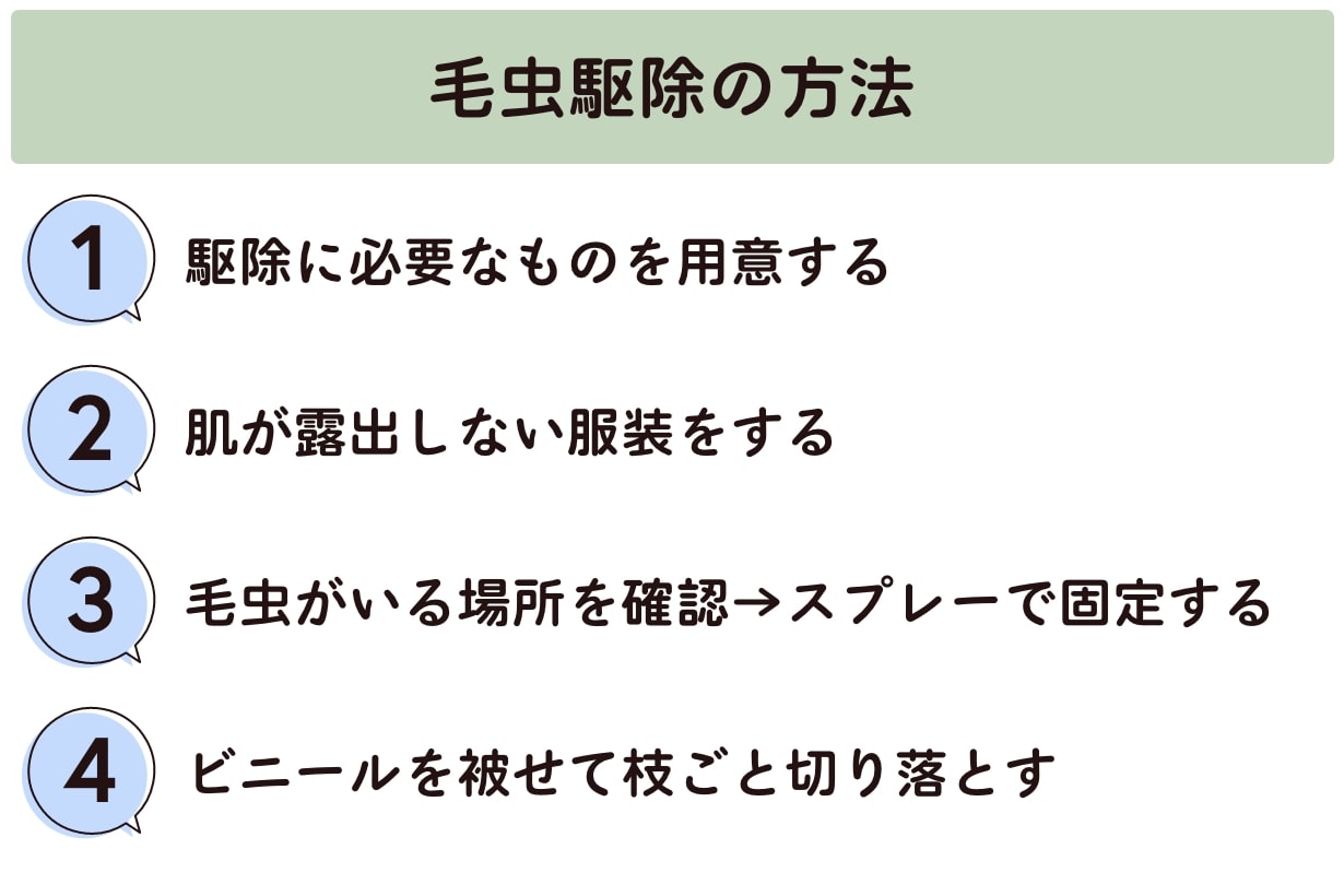 毛虫を駆除する方法 毛虫の見分け方や寄せ付けない対策も解説 となりのカインズさん