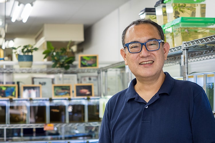 第一人者が教えるベタの飼育方法。魚の美しさを競うコンテスト「ショーベタ」の世界が沼だった