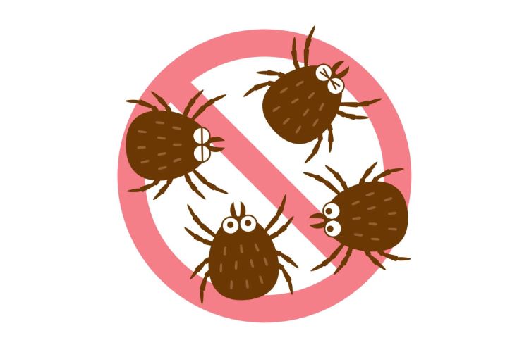 効果的なダニ対策は？ 布団やベッドにダニが発生する原因と対処法