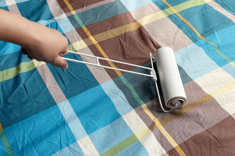 こんなの待ってた！ カインズのカーペットクリーナーで今までのプチストレス解消