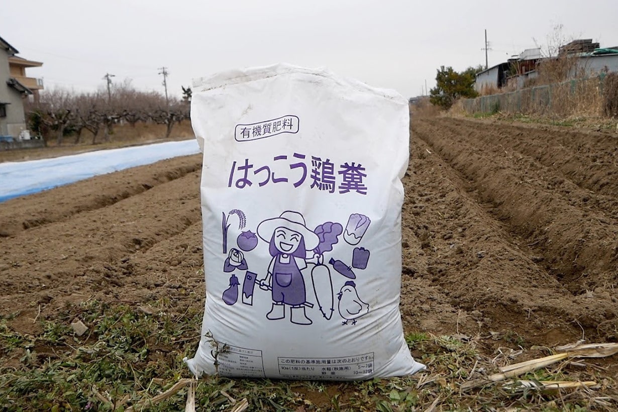 畑に置いてあるはっこう鶏糞の袋