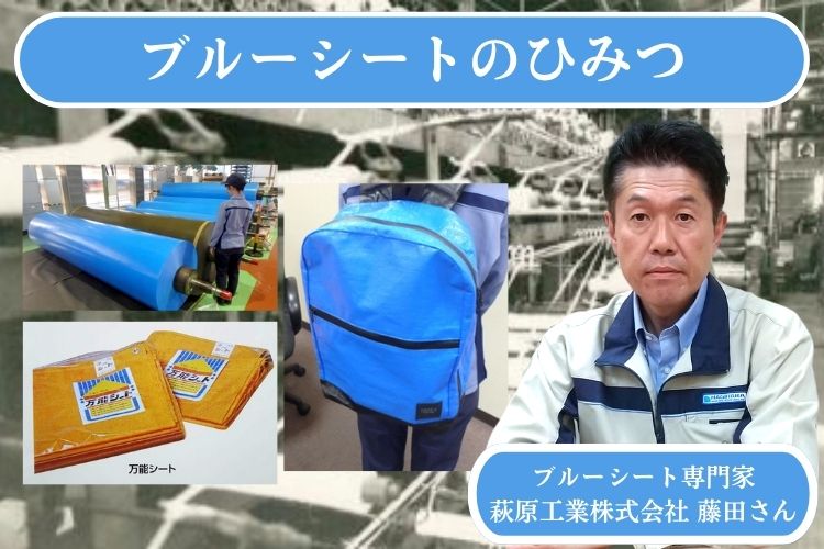 ブルーシート出てきたやつを ブルーシート出てきたやつを