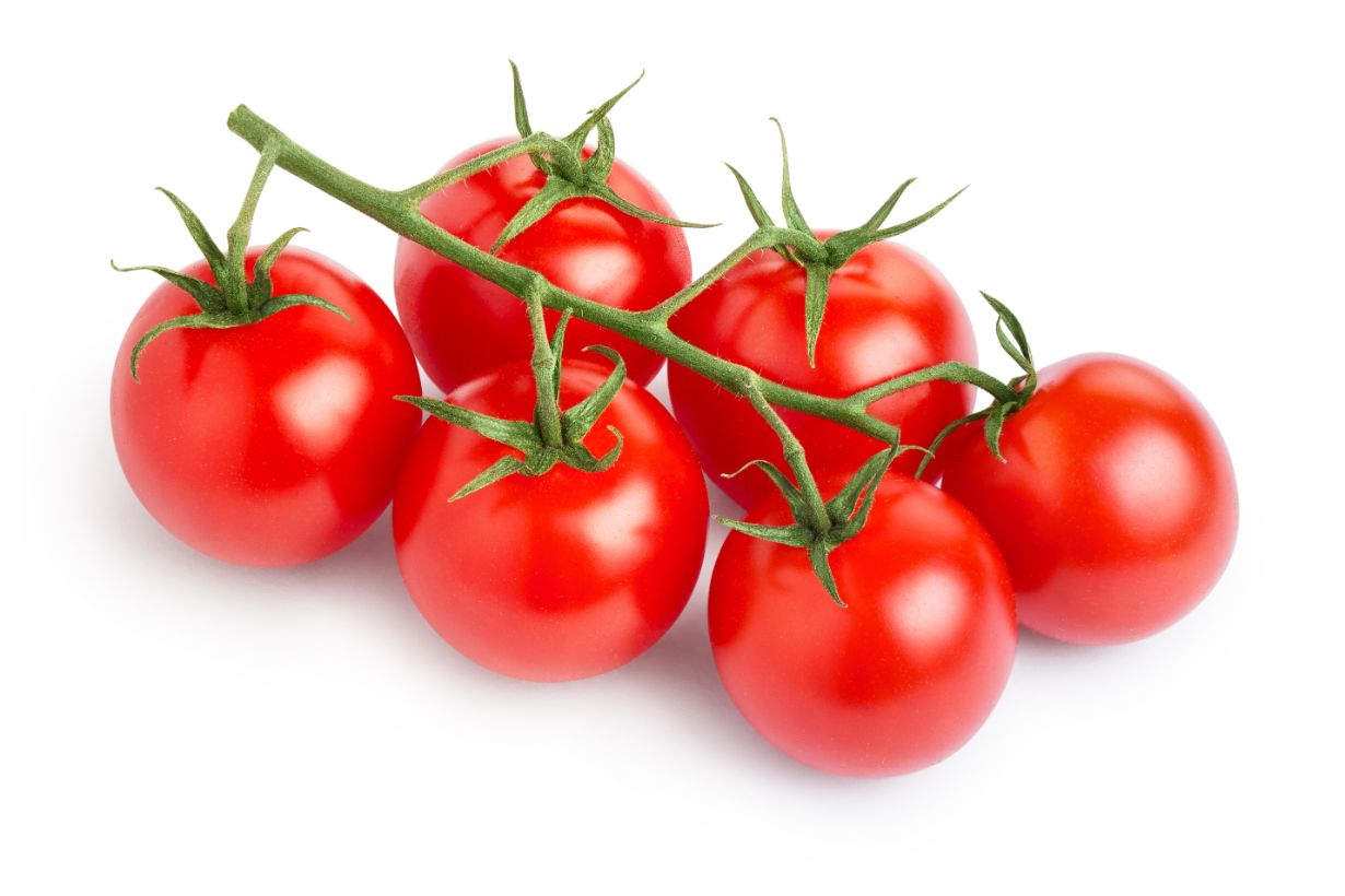 ミニトマトの正しい育て方は 注意点やトラブル対処法を解説 となりのカインズさん