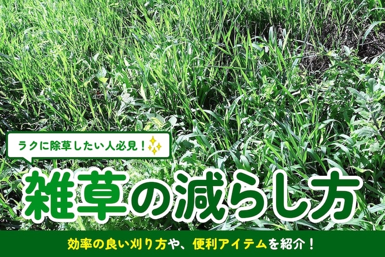 雑草の減らし方とは？ 年々雑草が減って除草をラクにするコツを紹介します