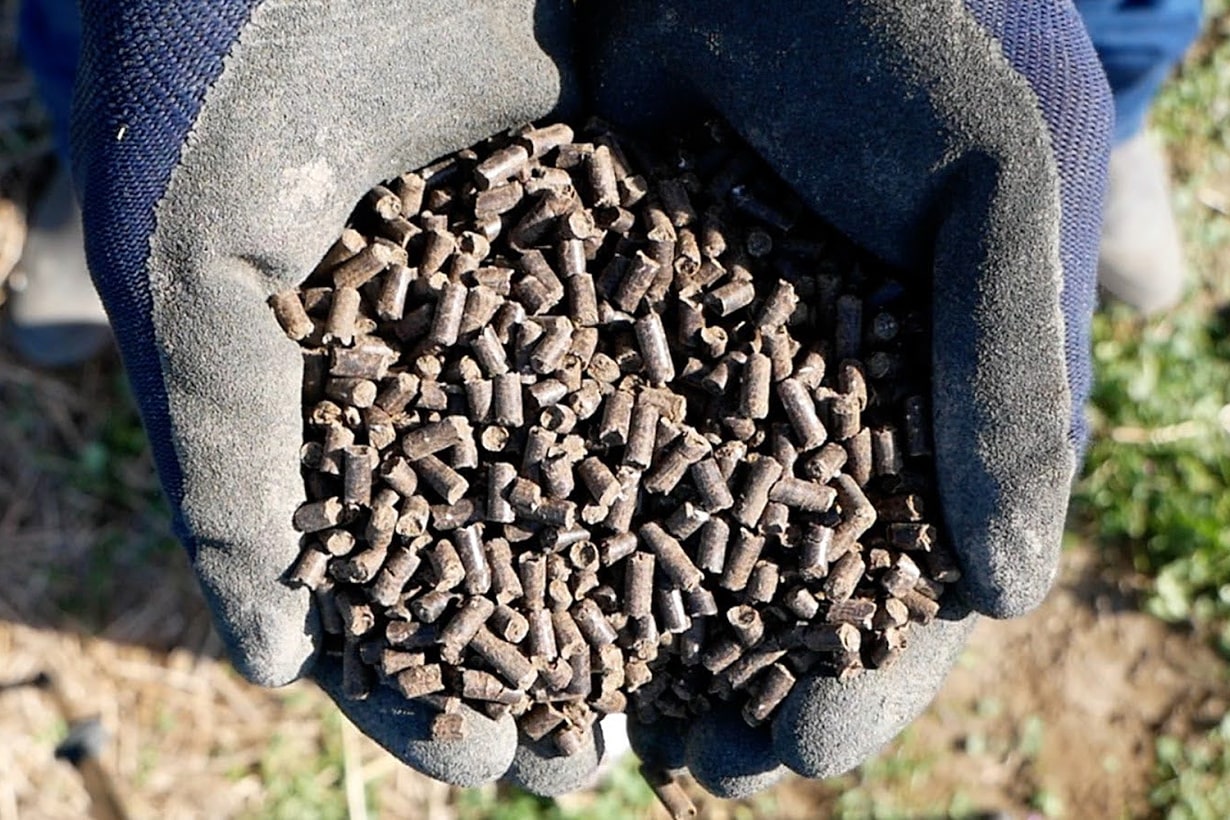 米ぬか肥料の作り方｜成分や効果、利用法を紹介します | となりのカインズさん