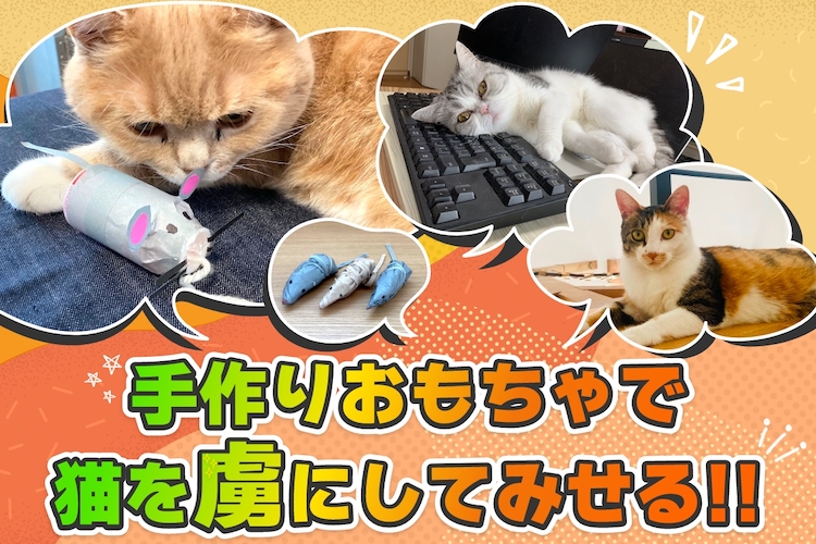 人間VS猫、仁義なきおもちゃバトル。愛猫の習性を突いたDIYおもちゃで、もう無視させない！