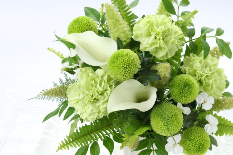 【緑色の花20選】贈り物やガーデニングに！ 花言葉や選び方も解説