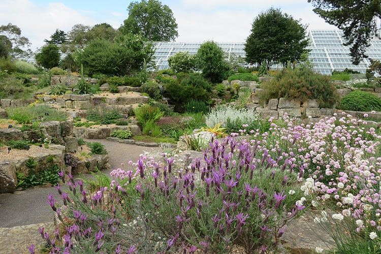 キューガーデンロックガーデンeye-min