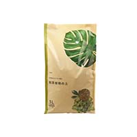 プテリスの育て方 観葉植物として人気の高いシダ植物の栽培方法を紹介します となりのカインズさん