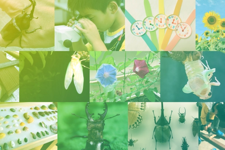 夏の自由研究・作品フォトコンテスト2022