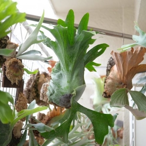 bikakusida_eyecatch_750x500-