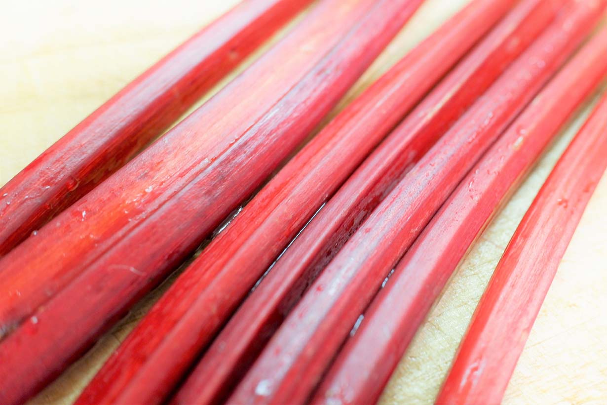 ルバーブの育て方｜プランター栽培の方法や冬越えの方法を紹介し