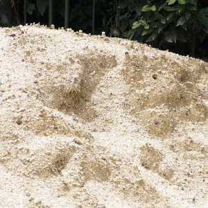 真砂土（まさ土）とは？ 使い方やメリット・デメリットを紹介