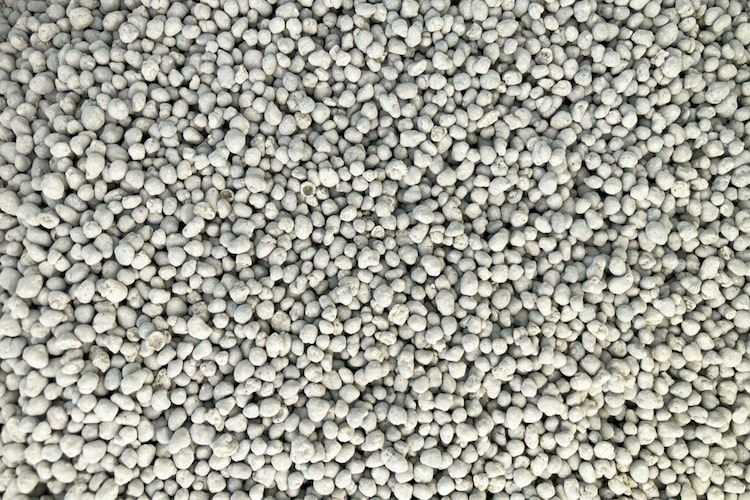 苦土石灰とは｜すぐ植えるのはOK？ 消石灰との違いや使い方を解説