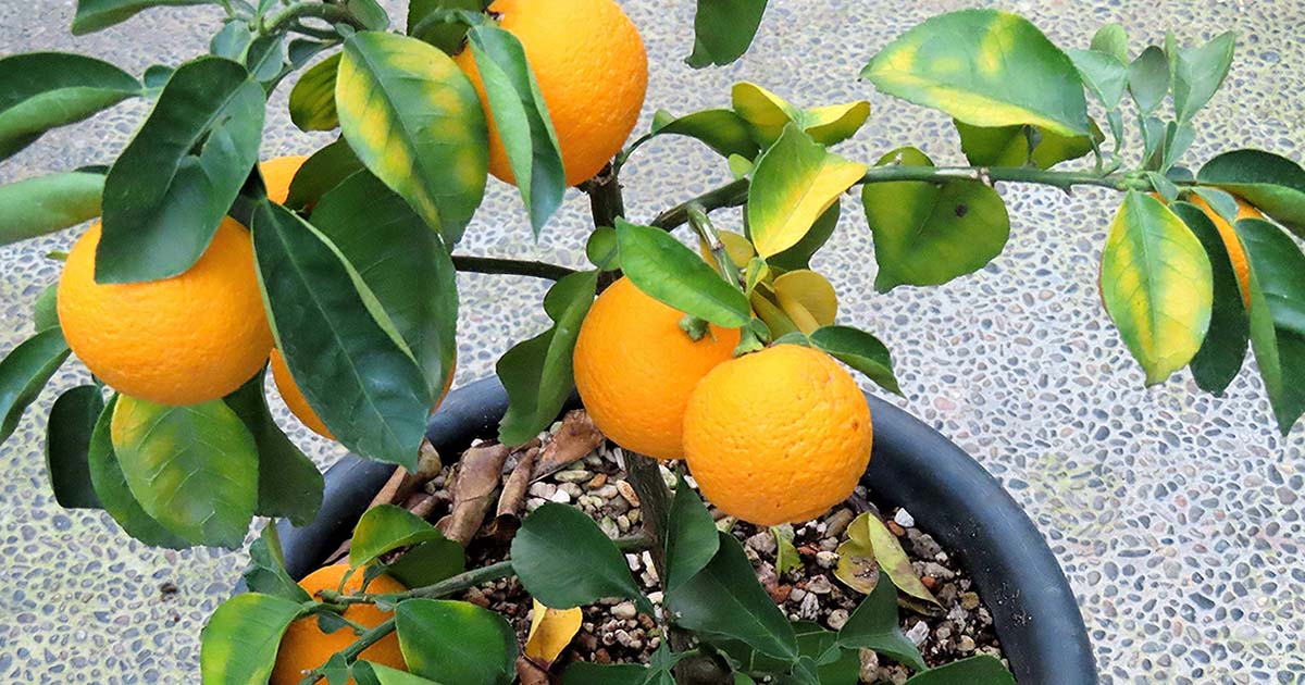 助けを求めるべきとき