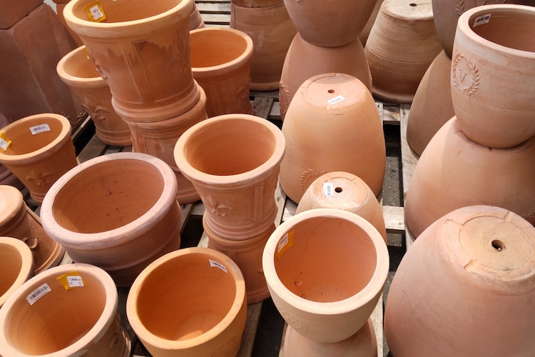 植木鉢の選び方とは？ 鉢と受け皿のサイズや材質ごとの特徴も解説します