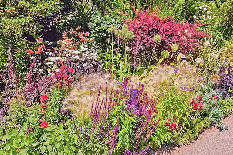 ボーダーガーデンの作り方｜レイアウトやプラン、魅力をご紹介します