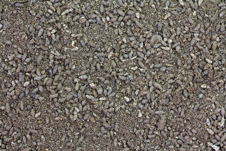 バットグアノとは？ 危険性はあるの？【成分や使い方を解説】