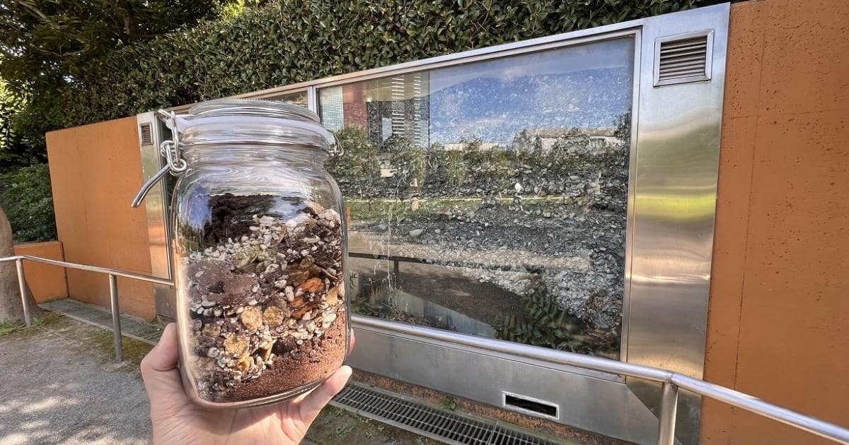 貝塚は持ち歩く時代！ 自分だけの「モバイル貝塚」を作ろう | となりのカインズさん