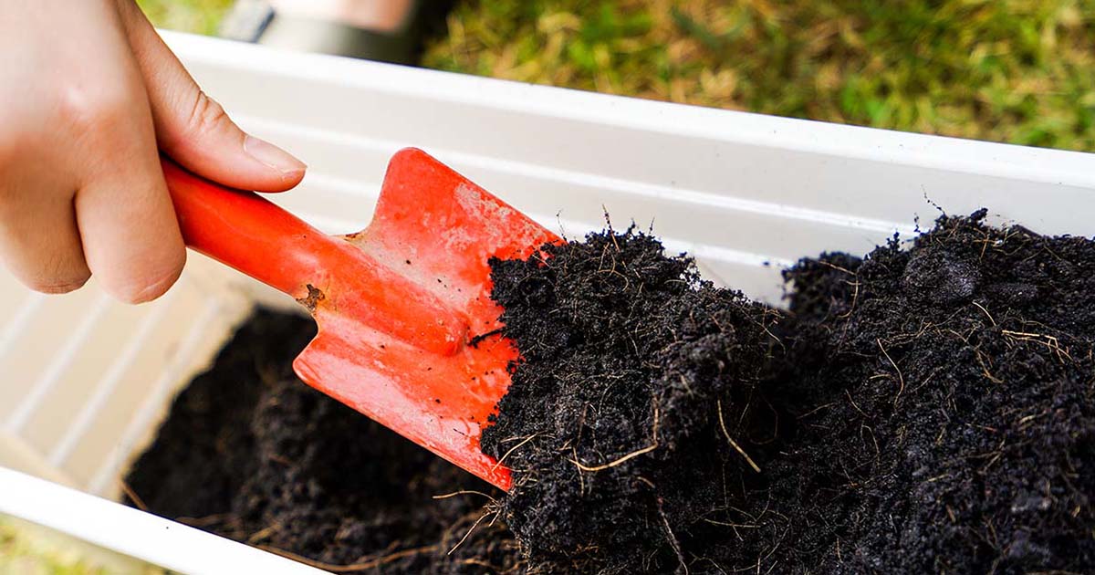 土の再生材おすすめ6選 古く痩せた土をふかふかにリサイクルする使い方 となりのカインズさん