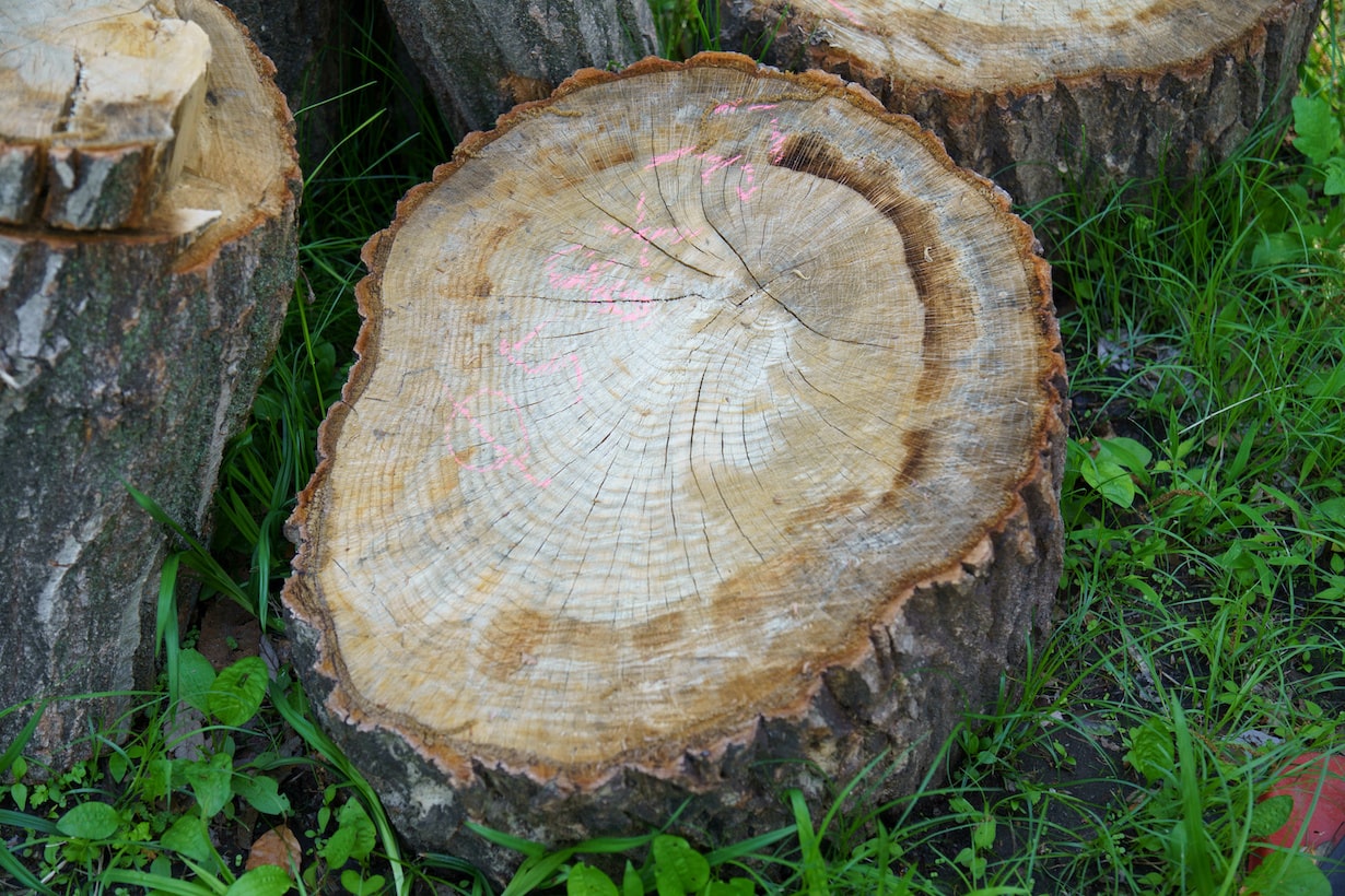 核ストレス試験後の注意事項