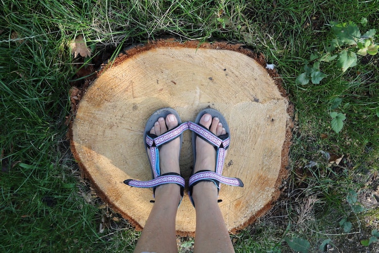 木の根を除去する方法を攻略！ 切り株は自分で抜根して庭スッキリ