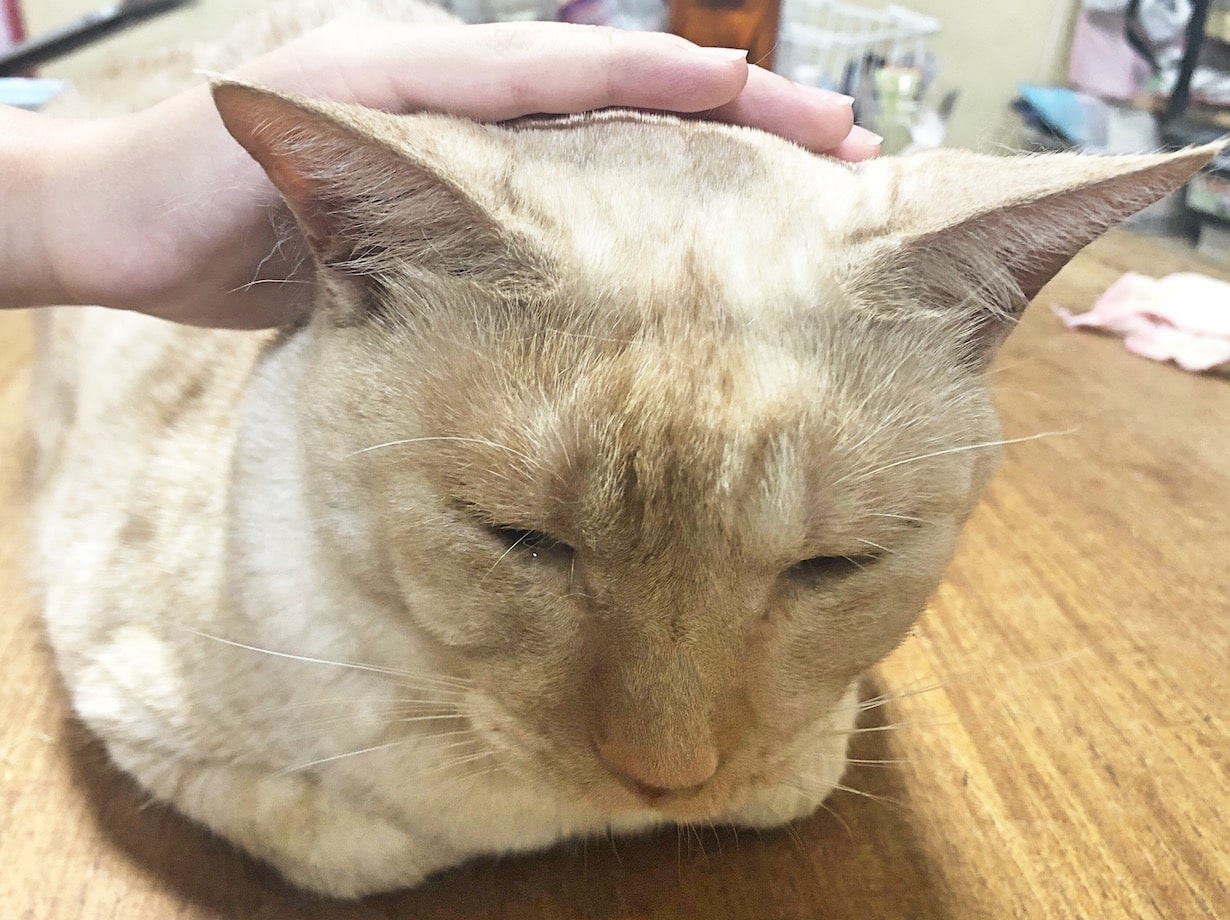 マッサージで痛みを和らげることはできますか?