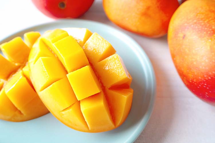 マンゴーの育て方　栽培に適した温度や植え付け・収穫の時期などを解説します