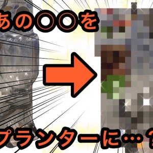 【衝撃のラスト】プランターじゃないものをプランターにしよう！ 選手権